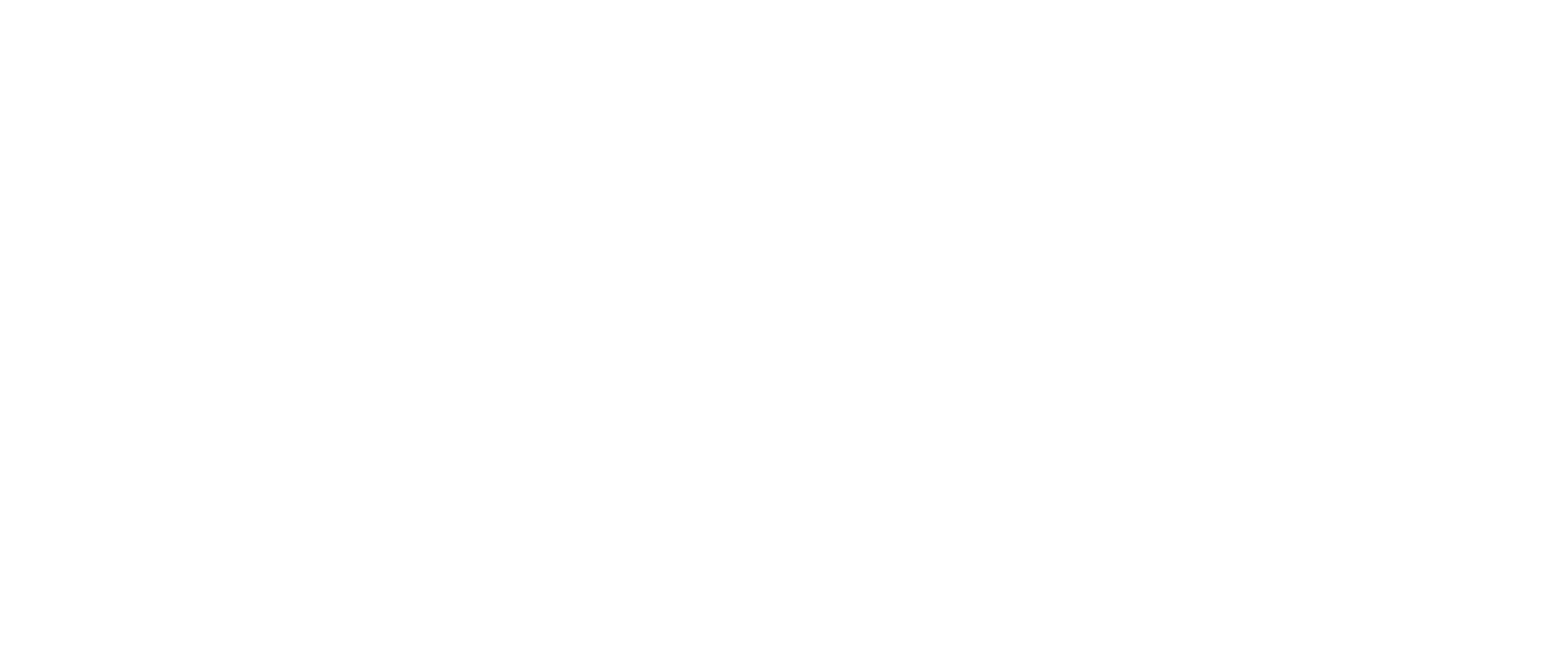 clezia logo white